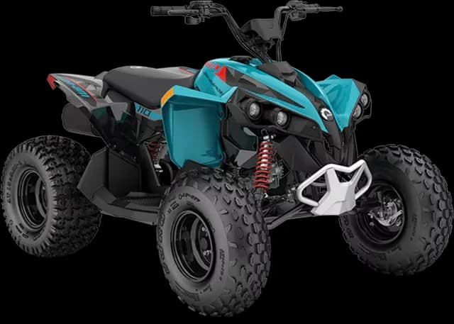 Can-Am RENEGADE 110 EFI 2025, цвет Iceberg Blue / Black