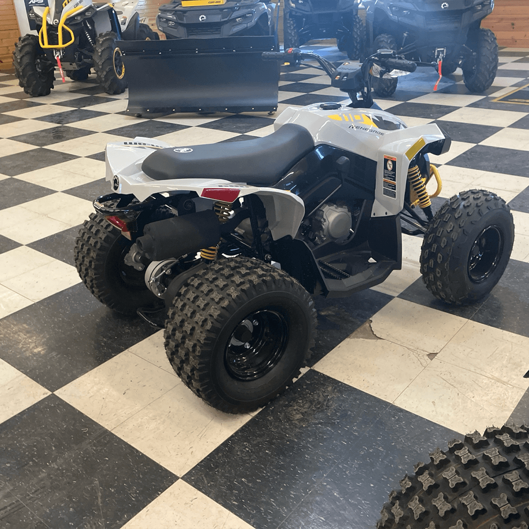 Can-Am RENEGADE 110 EFI 2025 — фото 6