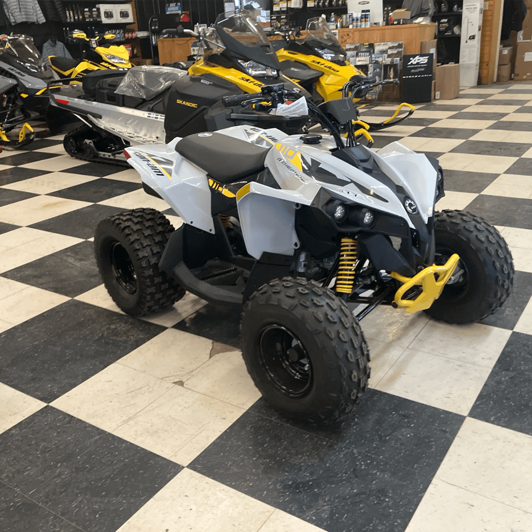 Can-Am RENEGADE 110 EFI 2025 — фото 3