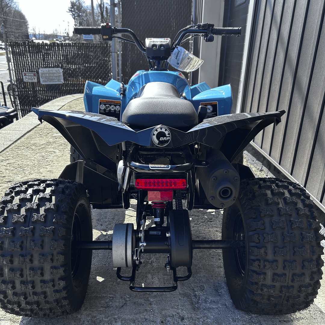 Can-Am RENEGADE 110 EFI 2025 — фото 10